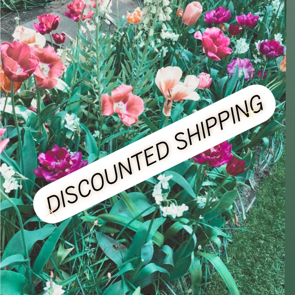 Listing for DISCOUNTED SHIPPING